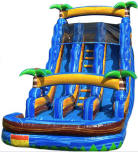 IMG 1425202 1745433258 big Bouncy house rental in Deweyville, TX